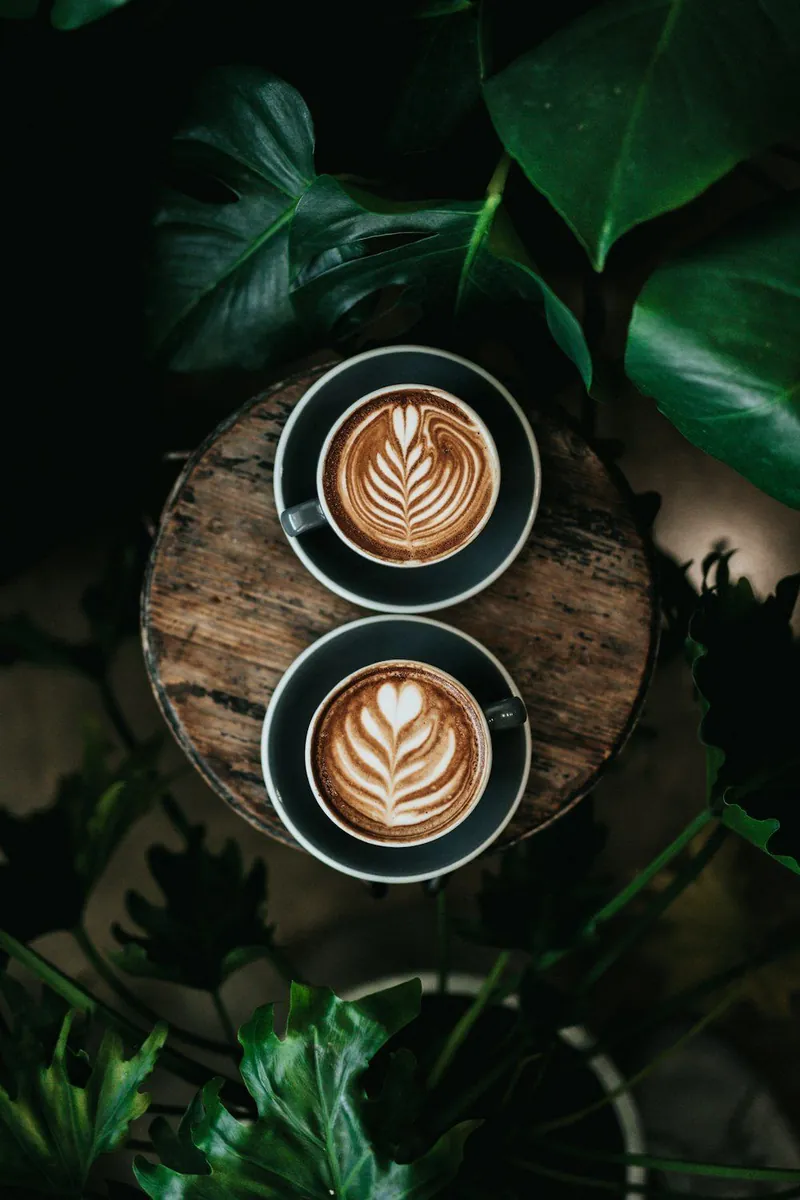 Barista Training & Consulting